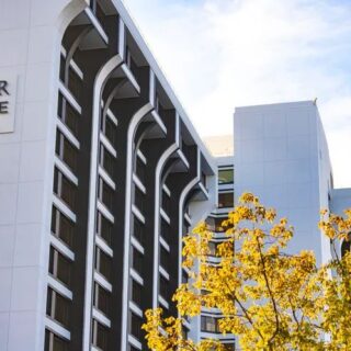 Discover Universal Epic Universe