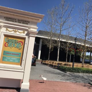 Additional Disney After Hours Dates for 2024 Added