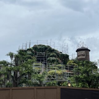 What You Should Know About Riding Tiana’s Bayou Adventure