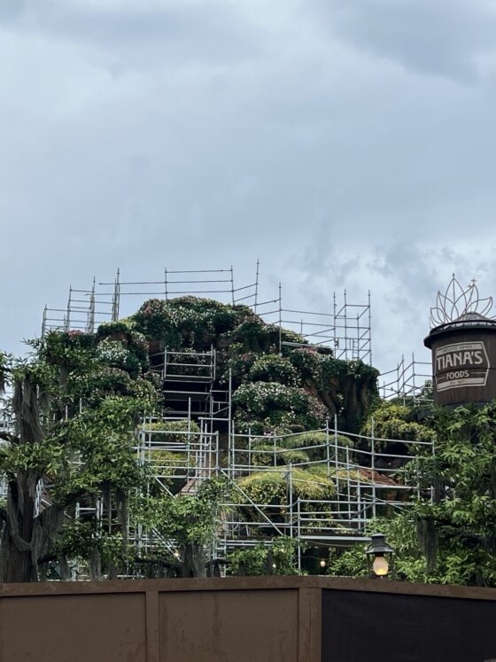 Tiana’s Bayou Adventure WILL Offer Virtual Queue