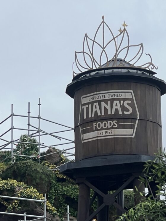 Tiana’s Bayou Adventure Now Opening Summer 2024