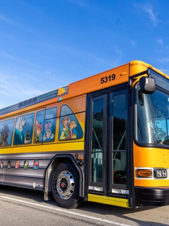 Walt Disney World Adding 90 New Buses to Their Fleet