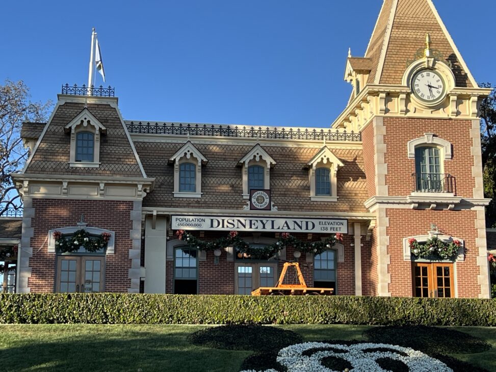 Disneyland Tours