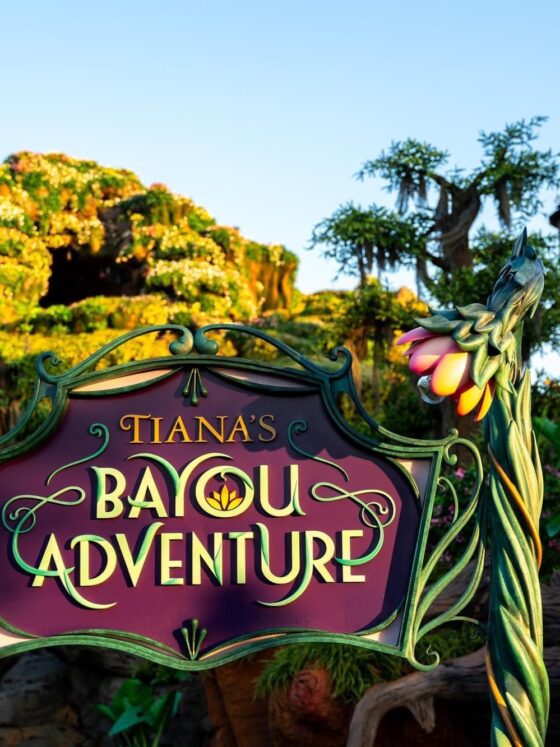 Sign Revealed and Walls Down at Tiana’s Bayou Adventure