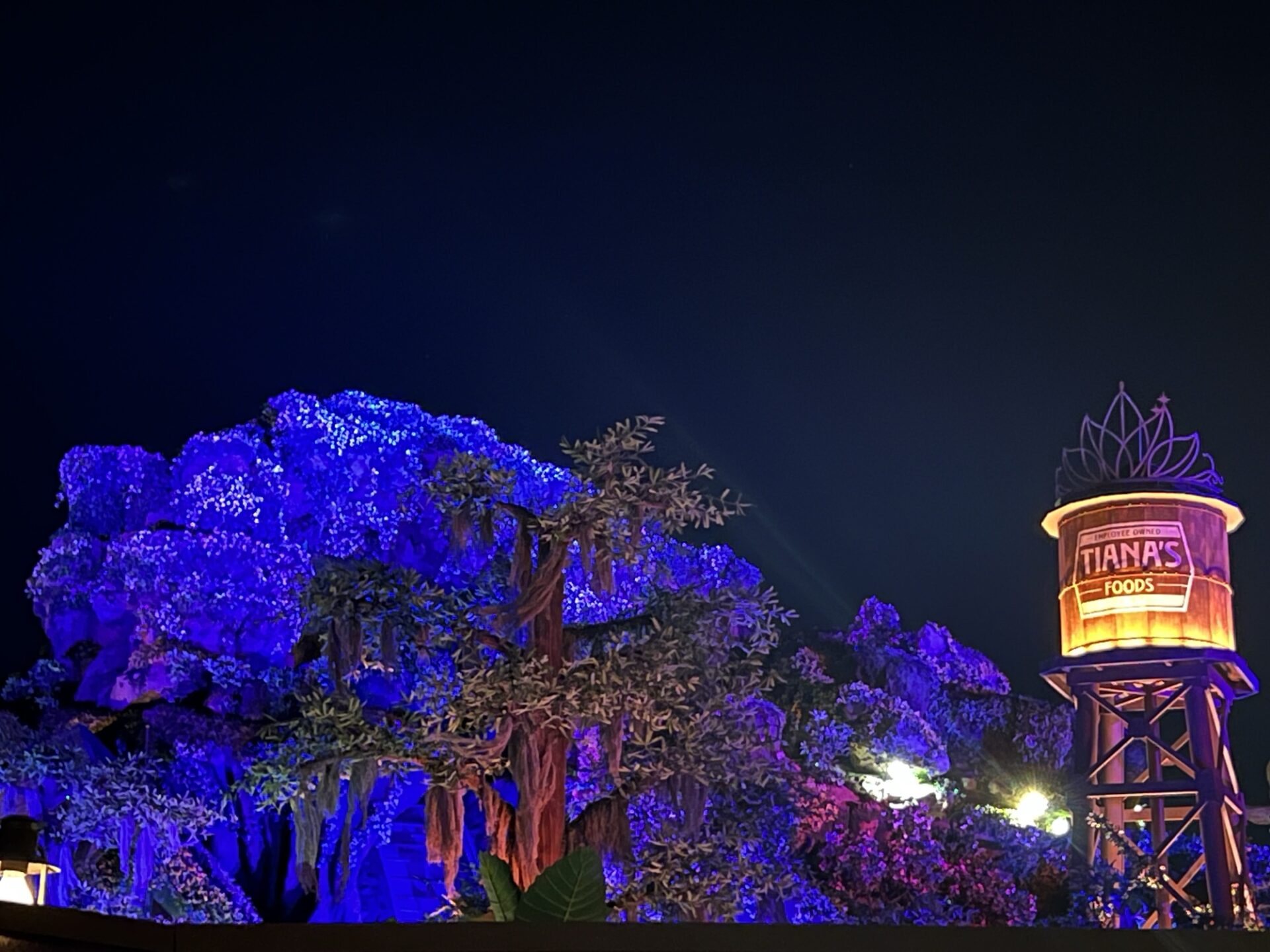 Disney Shares Full Ride Through Video of Tiana’s Bayou Adventure