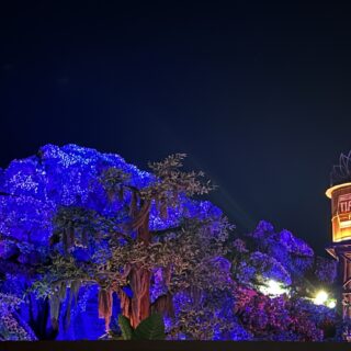 Inside Out 2 Featured in World of Color – ONE