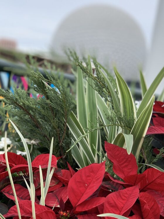 New Florida Resident 3-Day, 3-Park Ticket Available for Fall 2025