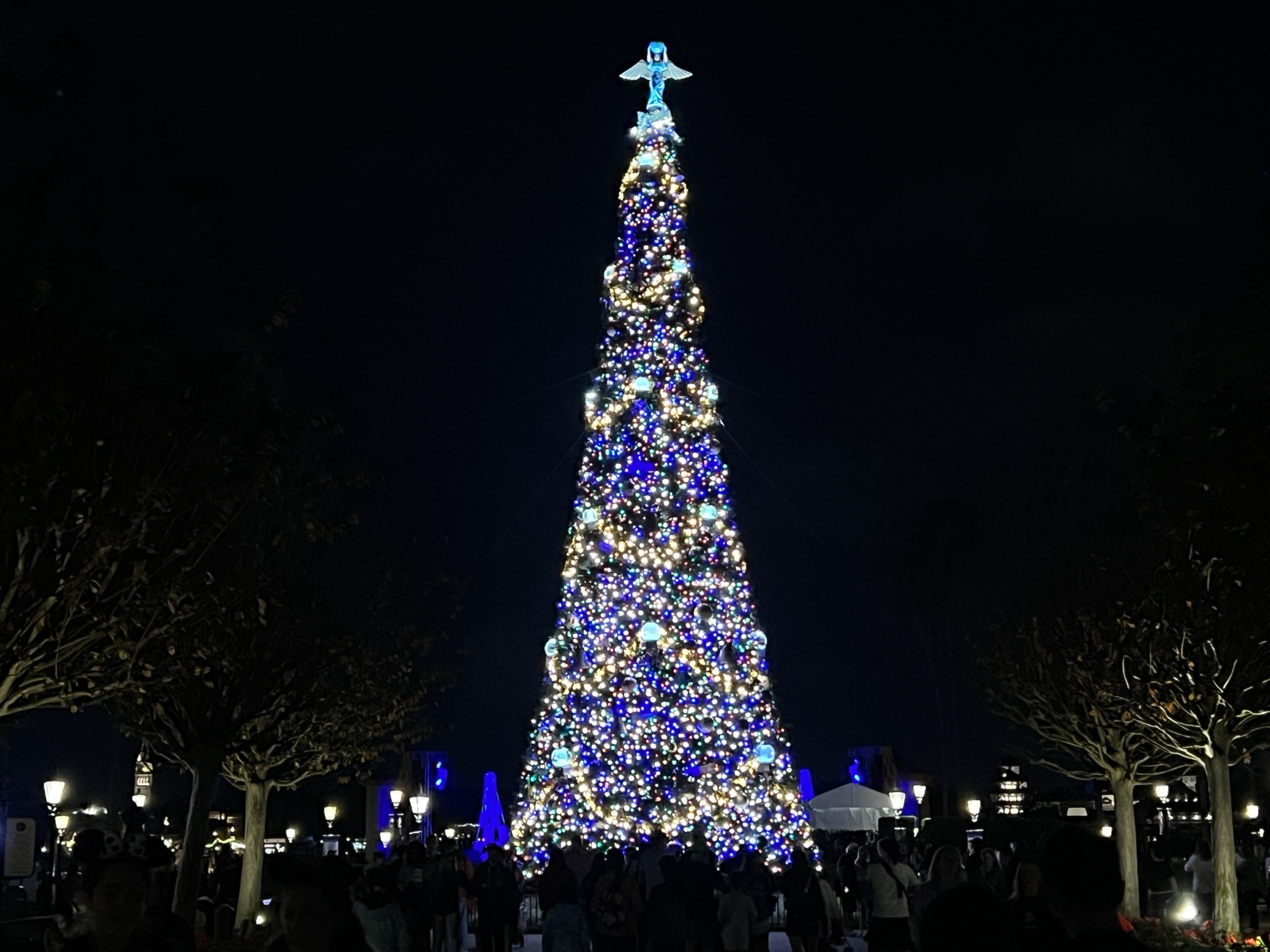 Walt Disney World Holiday Season