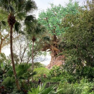 Millennium Falcon: Smugglers Run Testing Group of Two “Single Rider” Experience