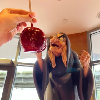 The Holidays at The Disneyland Resort Begins November 15