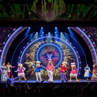 Adult Spaces on the Disney Destiny