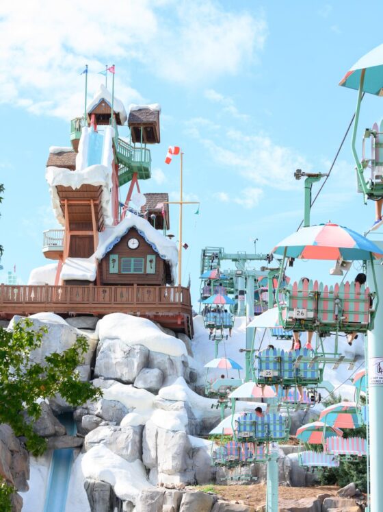 Blizzard Beach Water Park to Celebrate 30th Anniversary