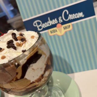 EPCOT’s Manatee and Dolphins Will Be Relocated