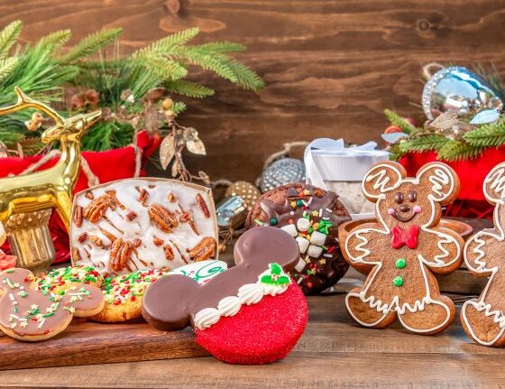 Christmas Holiday Treats and Drinks at the Disneyland Resort 2024