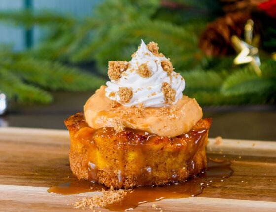 Menus Released for Disney Festival of Holidays 2024 at Disney California Adventure
