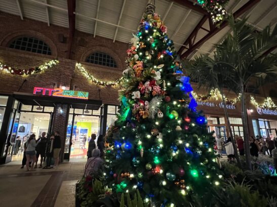 All About the Disney Springs Christmas Tree Stroll for 2024