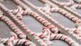 Dates for the Handmade Candy Canes at the Disneyland Resort for 2024