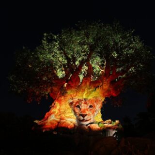 Bluey Coming to Disney Destinations Soon