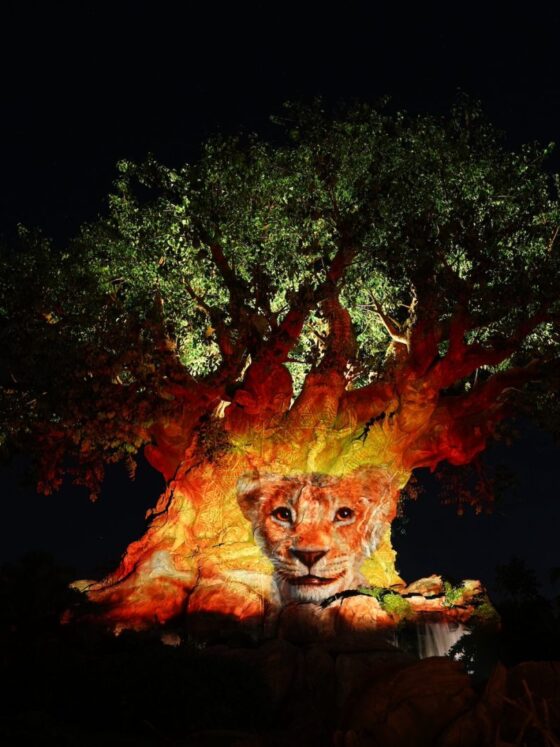 Celebrate “Mufasa: The Lion King” at Walt Disney World