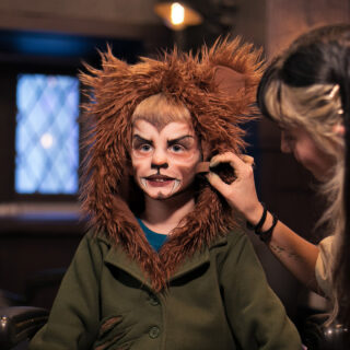 Disney Cruise Line Guests Can Now View Placeholder Cruises Online