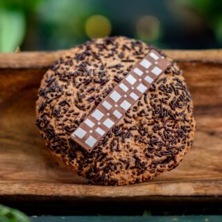 Updates About Dinoland U.S.A. Closures