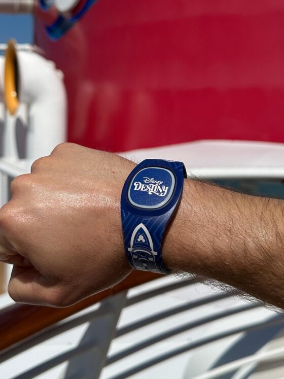 Disney Destiny DisneyBand+ Designs Now Available