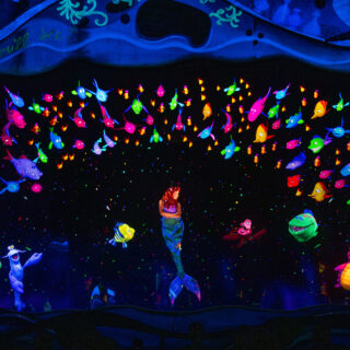 More Details About Cool Kid Summer at Walt Disney World