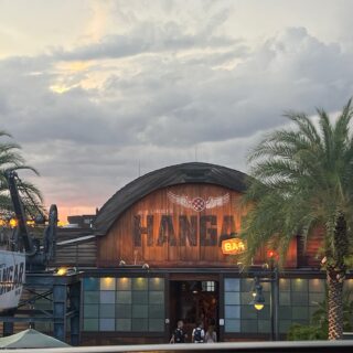 Crush Annual Passholder Magnet Available at Disney’s Animal Kingdom