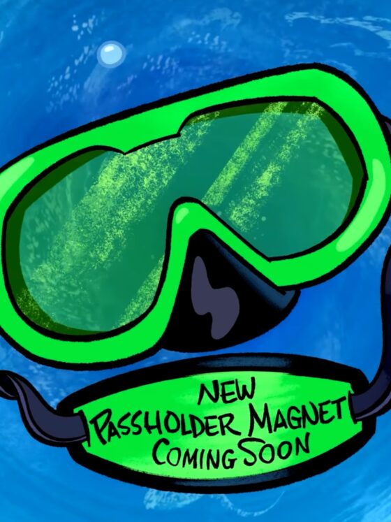 Disney Teases New Annual Pasholder Magnet