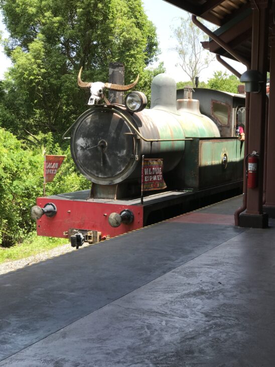 Wildlife Express Train