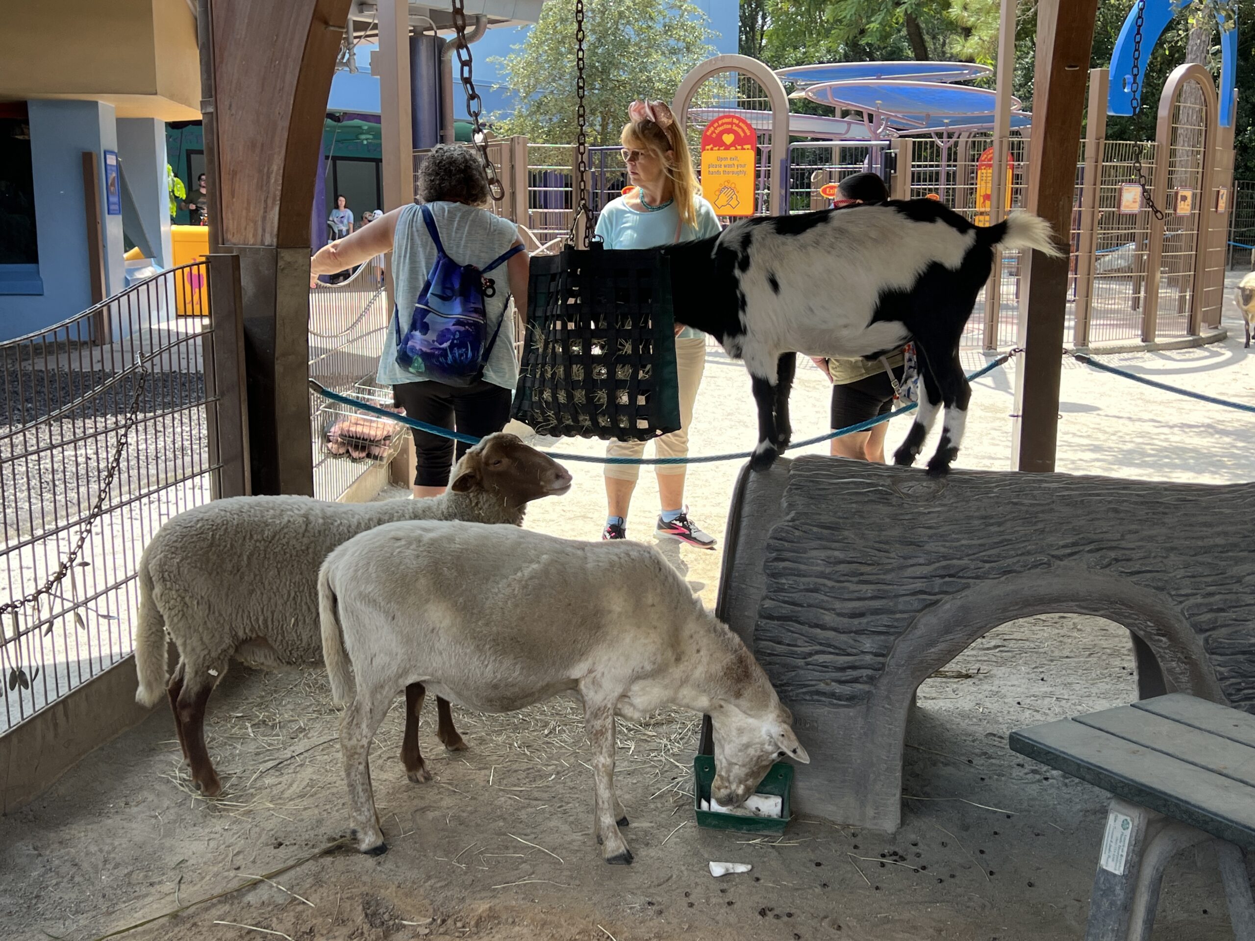 Affection Section at Conservation Station