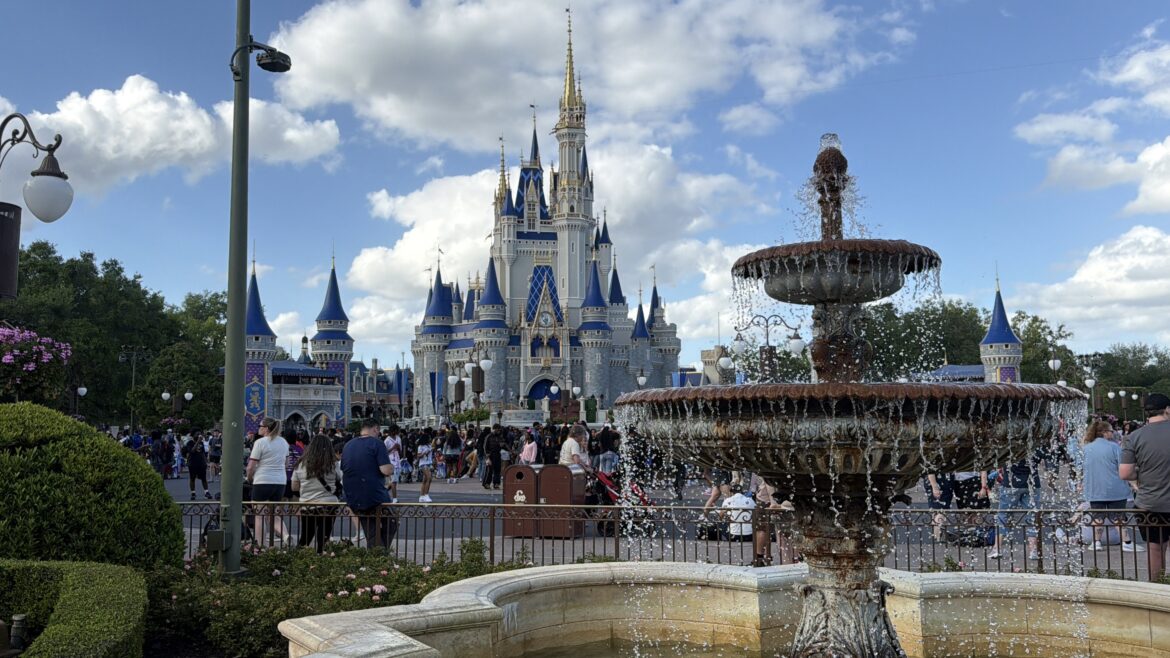 All About A Disney World After All