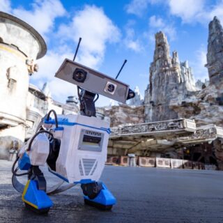 Captain Cacao Meet and Greet Coming to Universal Epic Universe