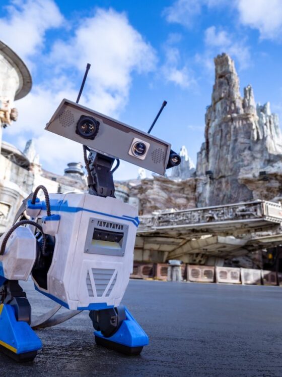 All the Disney Popcorn Buckets and Drink Sippers for 2026