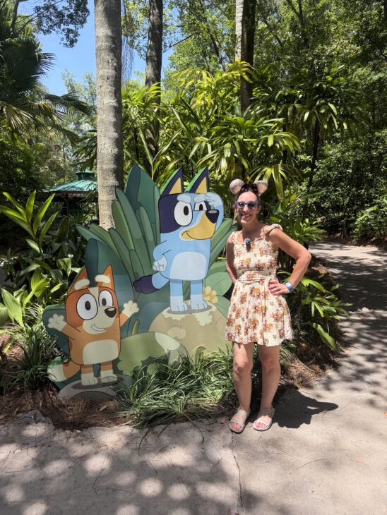 All About A Disney World After All