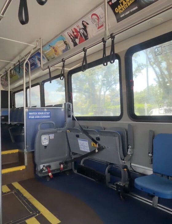 Disney Springs Resort Bus Verification Returns June 28 and Becomes Permanent Policy