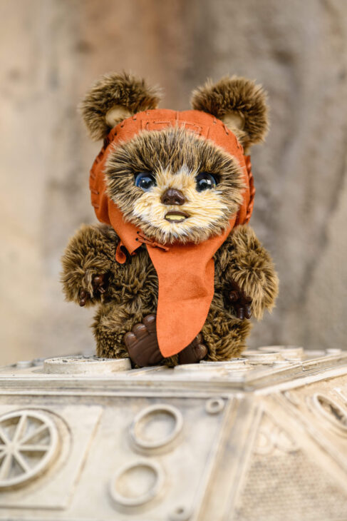 Ewok Batuu Adventure Buddies