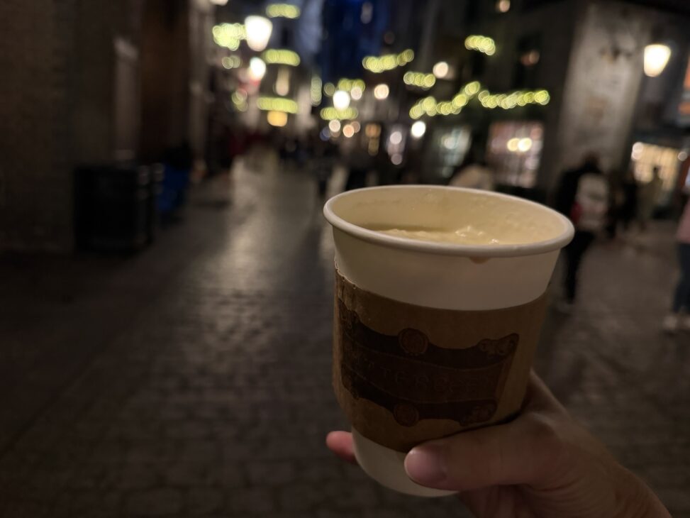 Christmas in the Wizarding World