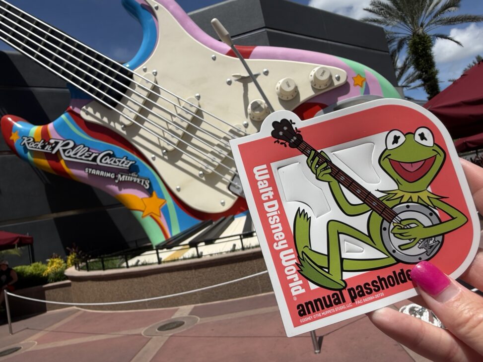 Kermit Passholder Magnet